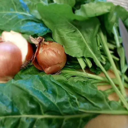 Farm stay Nonna Litta *